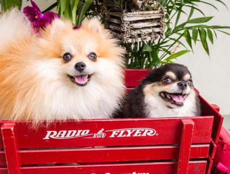 Bonz says Critter and Freddie are a delightful duo