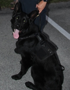 Sebastian cop acquitted in death of K-9 partner