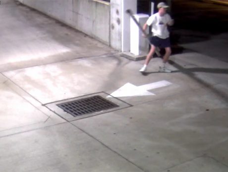 Police search for gate pole thief
