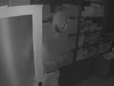 Police, deputies search for burglary suspect