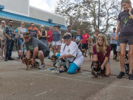A crowded Wieners’ Circle at H.A.L.O. benefit