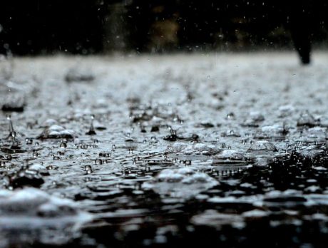 More closings announced for Hurricane Irma