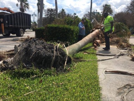 Hurricane unemployment benefits available here