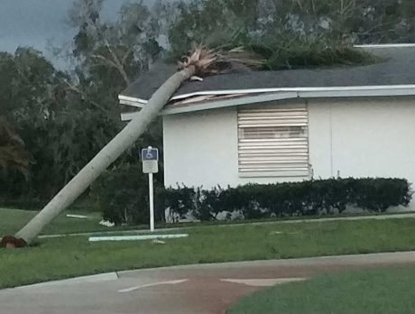 Irma relief and recovery fund available for residents
