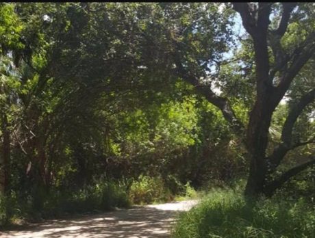 Jungle Trail still closed for storm debris cleanup