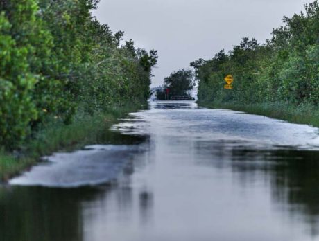 Lagoon water levels higher than any time in recent memory