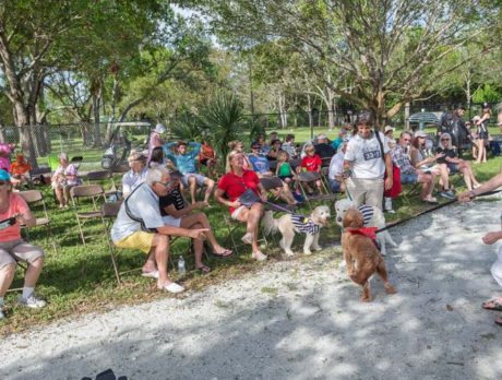 Bonz digs dogs’ amazing Howl-o-ween costumes