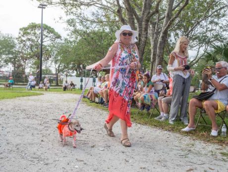PHOTOS: Pooches play dress-up at Howl-O-Ween Pawrade