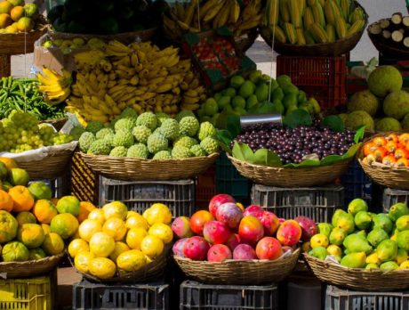 2 schools awarded fruit and vegetable grant