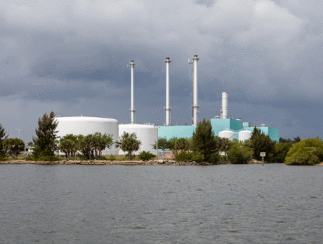Vero to get electric sale contract next week