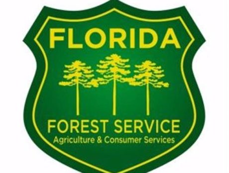 Vegetation burn okayed out Route 60 near turnpike