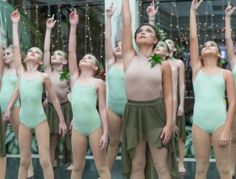 ‘Organized chaos’ reigns at Holidays in the Wild