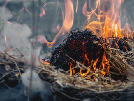 Controlled burn set for Friday in north Indian River