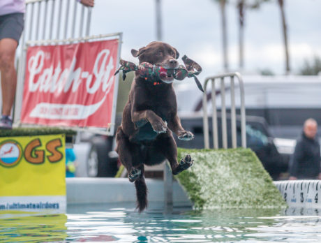 Photos – 6th Annual Bark in the Park