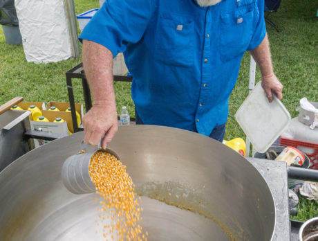 Photos – 17th Annual Sebastian Art and Music Festival