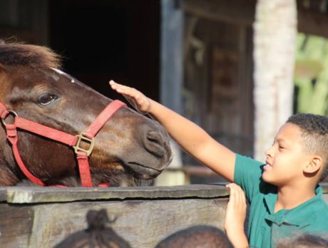 Photos – GYAC youth visit furry friends at LaPorte Farms