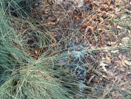Fire risk is high during cold, dry snap
