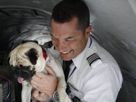 Displaced families reunited with pets from Puerto Rico