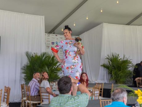 Dog sashay afternoon at Pups & Pinot Fashion Show