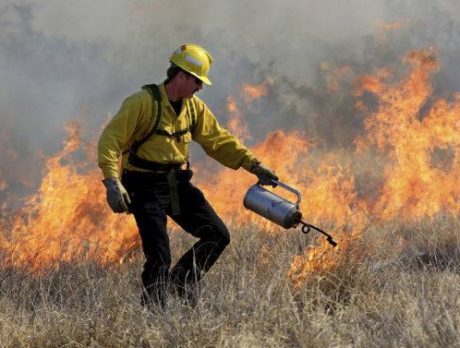Controlled burn at Sebastian River State Park