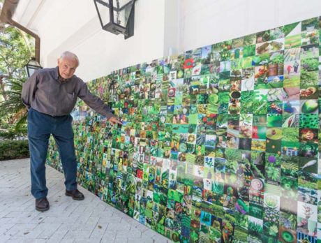 Tiny ‘offending’ image leads IRMC to toss large artwork