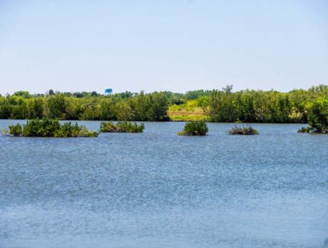 County clears way for eco-friendly expansion of Grand Harbor