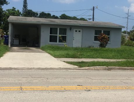 Deputies – Woman kept dead dog in home for weeks