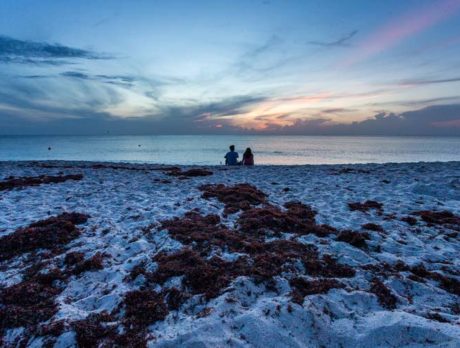 Fortunately, sargassum not too bad on island beaches