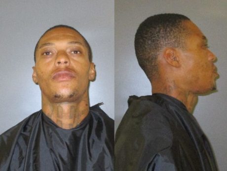 Deputies: 16 bags of cocaine, firearm found in traffic stop