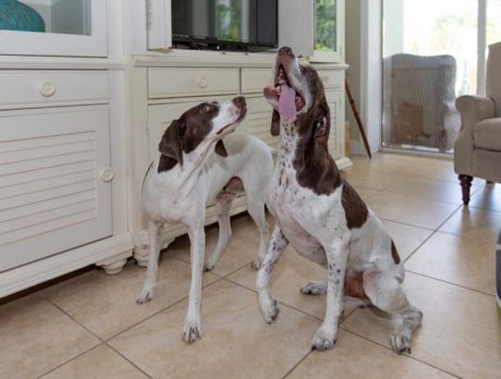Bonz sings praises of Pointer siblings Jeff & Abby