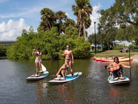 Daredevil doggies are all aboard at ‘Puppy Paddle’