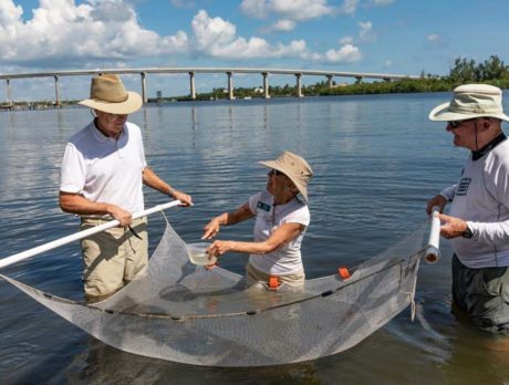National Estuaries Day celebrates wonders of lagoon