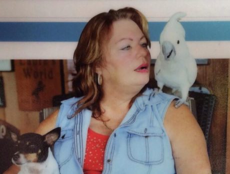 LaPorte Farms owner recovering in hospital, fundraiser set, family says