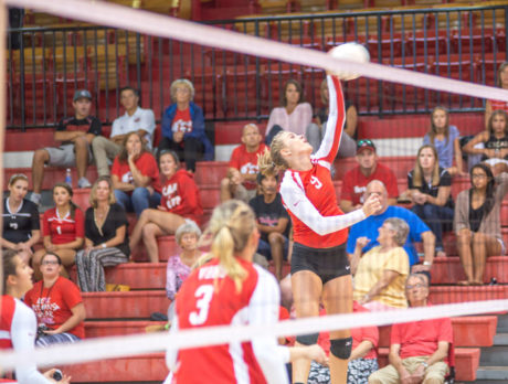 Vero girls volleyball starts (alas) a new win streak