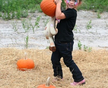 LaPorte Farms Fall Festival