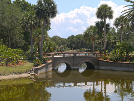 Indian River Shores fish kill remains mystery after state probe