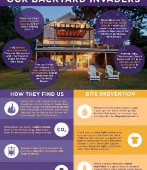 Guard Your Yard Against Mosquito Invaders