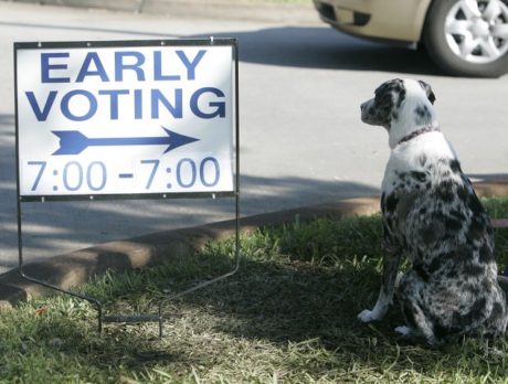 Early voting