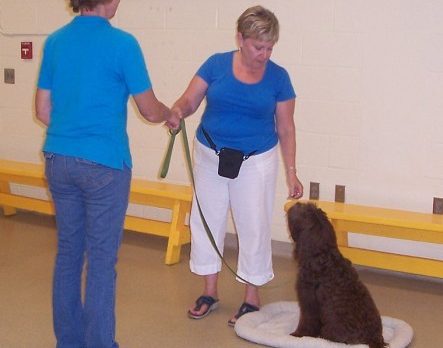 PETS: Exercise is linked to behavior