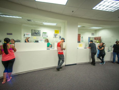 Amnesty Day a ‘moderate’ success