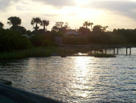 Indian River County Commission approves oyster reef to help repair lagoon