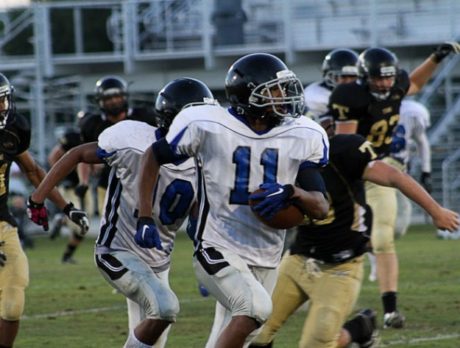 Sharks beat Titans in spring game