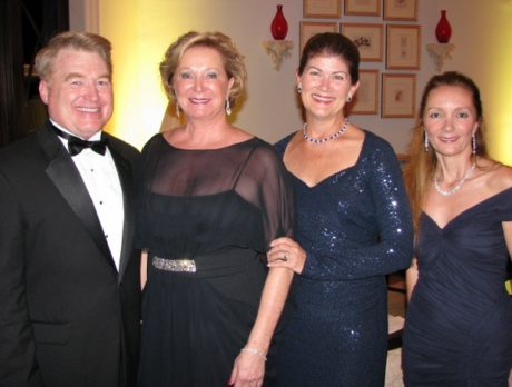 Hibiscus Gala