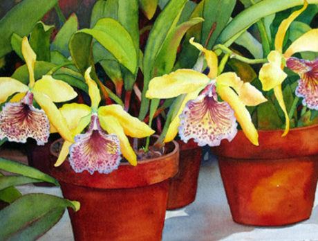 Facets of Florida exhibit at the Artists Guild Gallery
