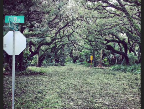 Hurricane Matthew photo contest winners
