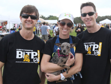 Bark in the Park