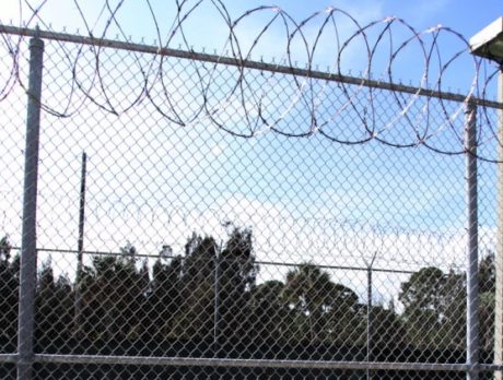 BUZZ:  Criminals are dumb, social media gives them even more rope