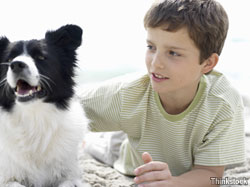 A five-step plan for keeping your pet safe from fleas and ticks