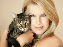 Avoid ‘lost’ signs by tagging your cat