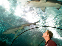 Fall vacations offer big savings, learning opportunities and no crowds
